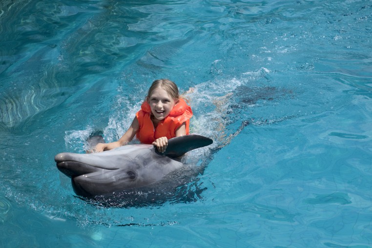 Girl swimming with a dolphin at Dolphin Academy