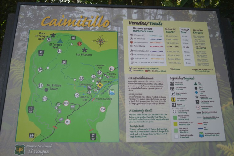 Map of El Yunque National Forest and all its trails