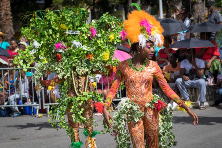 Annual Guadeloupe Carnival that occurs every February