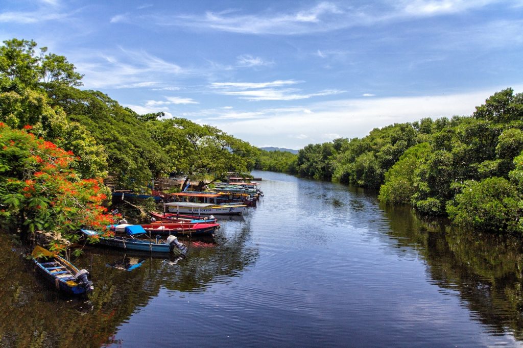 Jamaica River