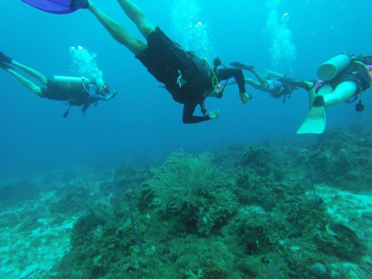 The 12 Best Snorkeling Spots in Jamaica - Exploring Caribbean