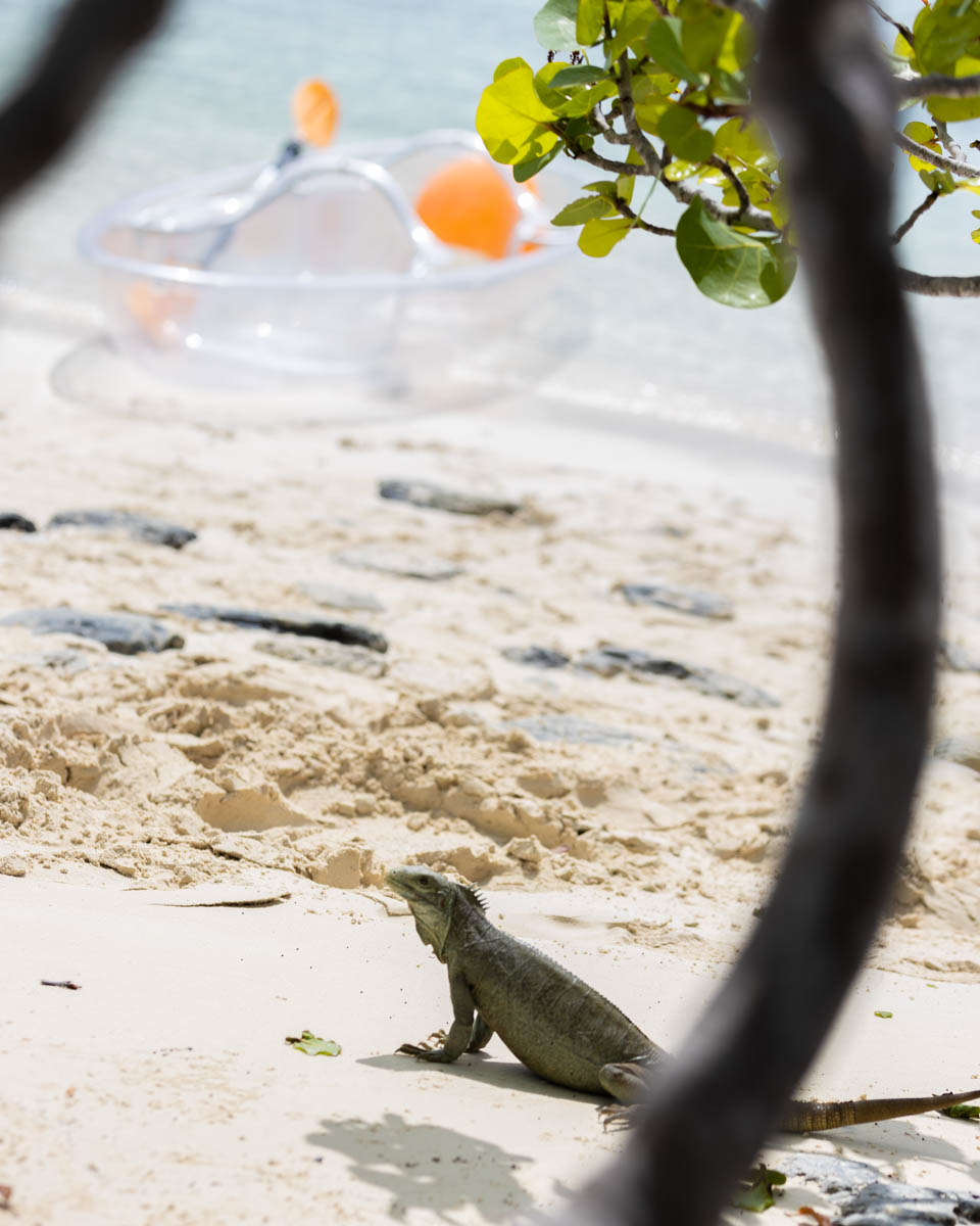 7 Top Adventures In The Caribbean - Exploring Caribbean